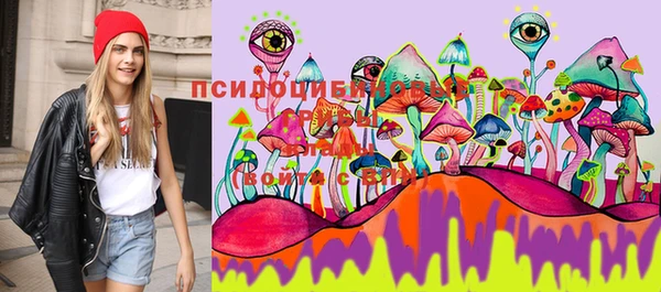 spice Медвежьегорск