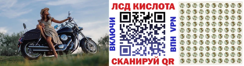 хочу наркоту  Медвежьегорск  Марки NBOMe 1500мкг 
