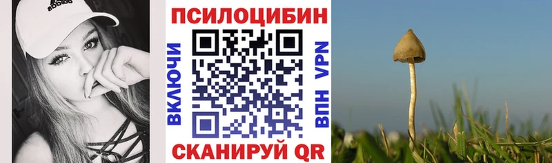 Галлюциногенные грибы прущие грибы  OMG зеркало  Медвежьегорск 